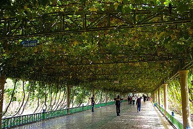 《盐与献祭》Epic售价69元 PC配置需求公开